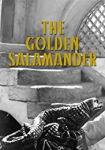 Golden Salamander